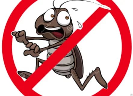 В чем вред от тараканов и почему их нужно уничтожать